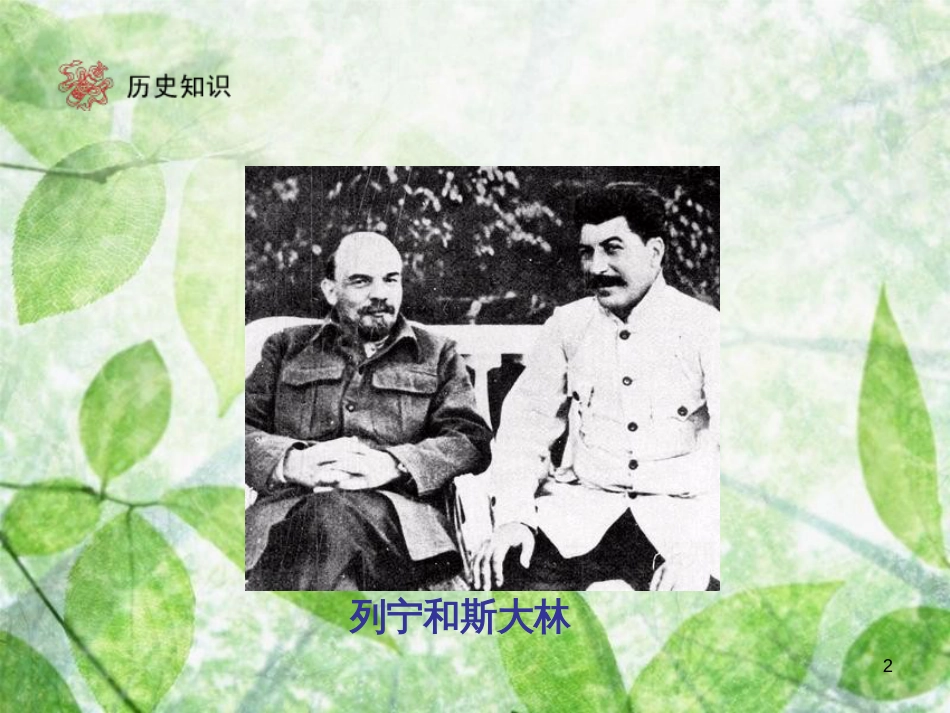 九年级历史下册 第1单元 苏联社会主义道路的探索 2 对社会主义道路的探索优质课件 新人教版_第2页