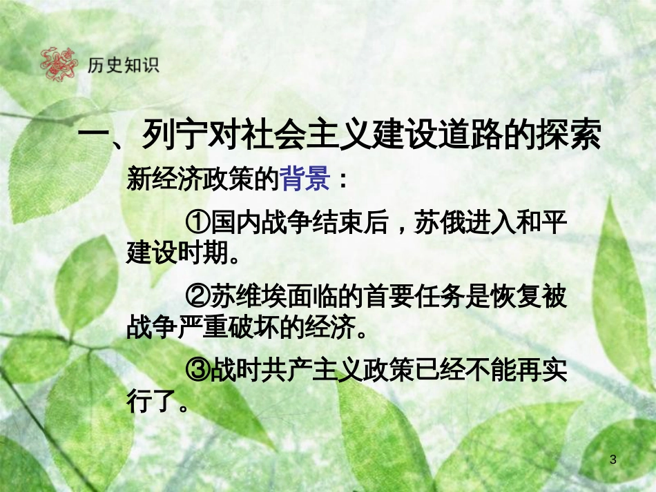 九年级历史下册 第1单元 苏联社会主义道路的探索 2 对社会主义道路的探索优质课件 新人教版_第3页