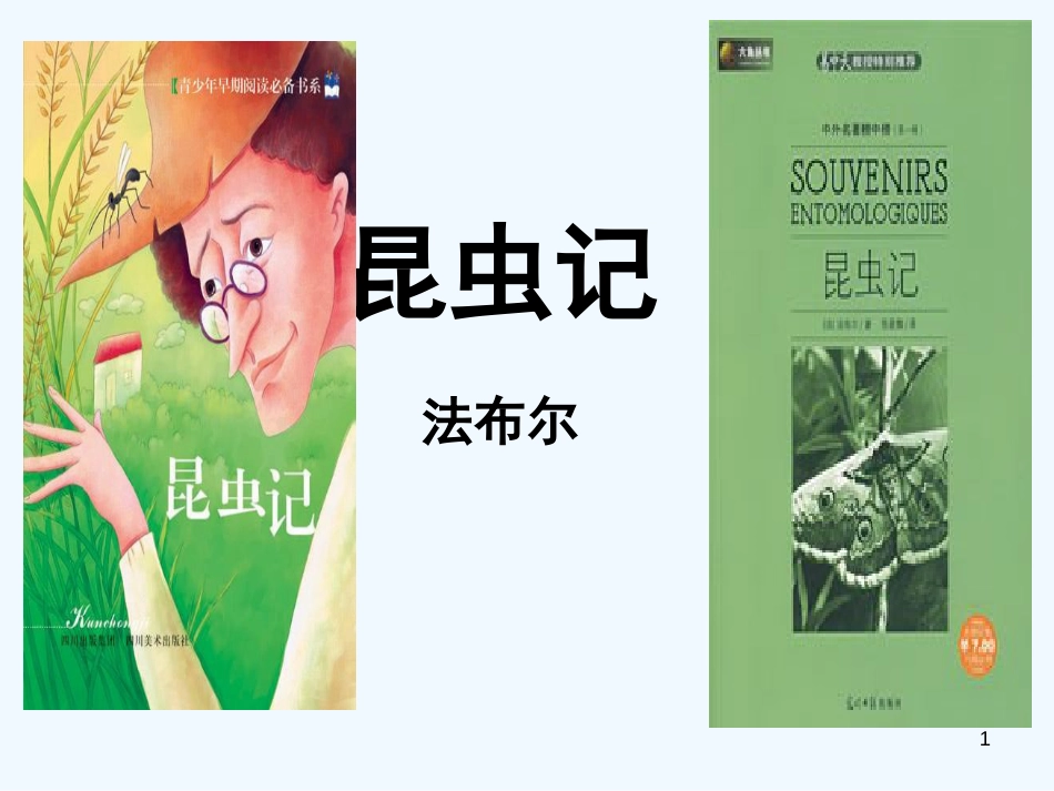 （河南专版）八年级语文上册 第五单元 昆虫记优质课件 新人教版_第1页