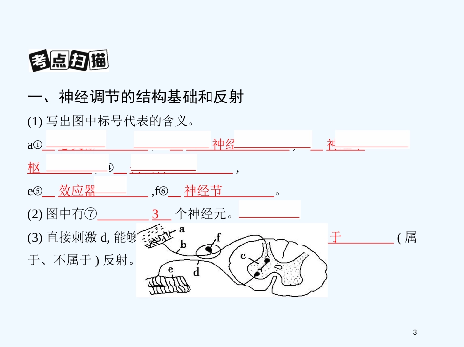 （北京专用）2019版高考生物一轮复习 第21讲 人和高等动物的神经调节优质课件_第3页