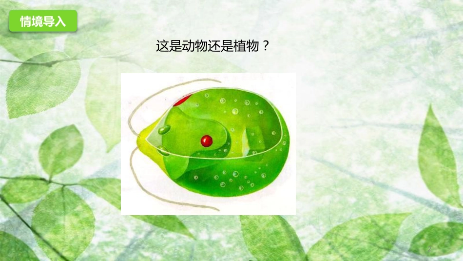 七年级生物上册 2.1.1《绿色植物的主要类群》优质课件 （新版）济南版_第2页