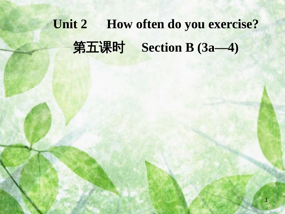 八年级英语上册 Unit 2 How often do you exercise（第5课时）Section B（3a-4）导学优质课件 （新版）人教新目标版_第1页