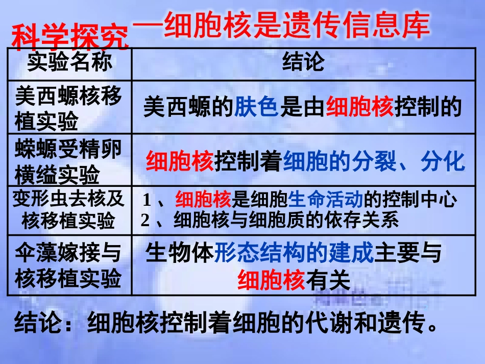 福建省寿宁县高中生物 第三章 细胞核课件 新人教版必修1_第2页