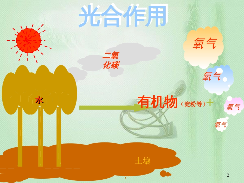 八年级生物上册 第3章 第三节 光合作用的场所优质课件 （新版）冀教版_第2页