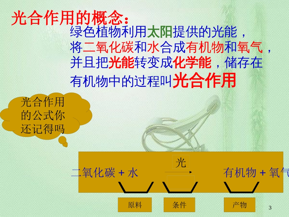 八年级生物上册 第3章 第三节 光合作用的场所优质课件 （新版）冀教版_第3页