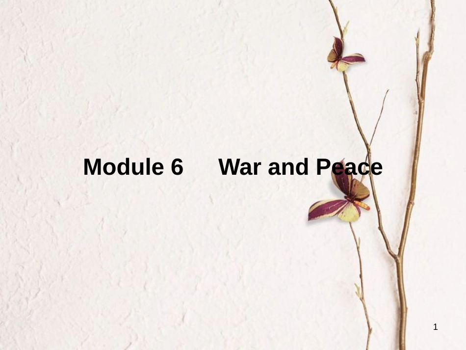 高中英语 Module 6 War and Peace Section Ⅰ Introduction,Vocabulary & Reading课件 外研版选修6[共38页][共38页]_第1页