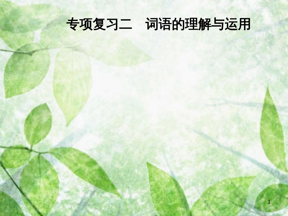 八年级语文上册 专项复习二 词语的理解与运用优质课件 新人教版_第1页