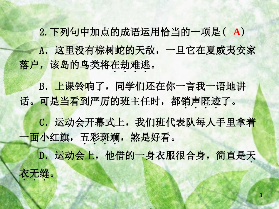 八年级语文上册 专项复习二 词语的理解与运用优质课件 新人教版_第3页