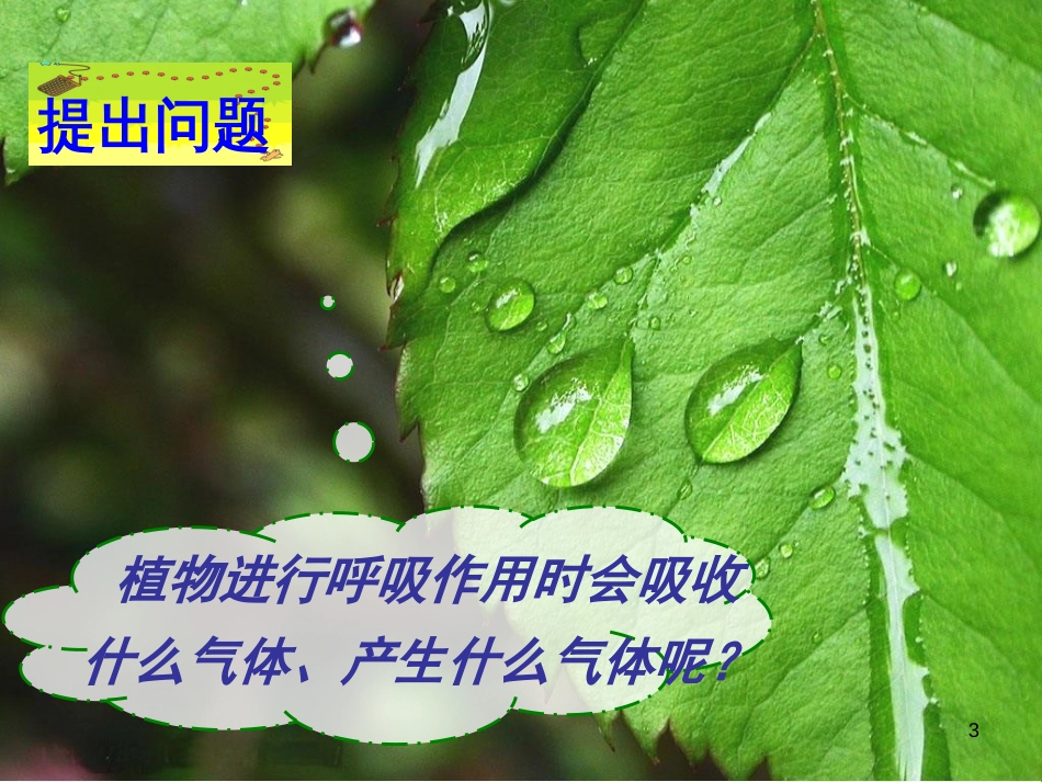 八年级生物上册 第三单元 第四章 第一节呼吸作用优质课件 (新版)冀教版_第3页