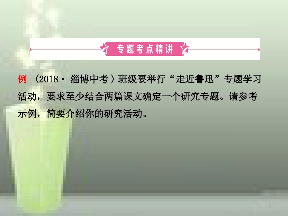 （淄博专版）2019届中考语文 专题十六 专题性学习优质课件_第3页