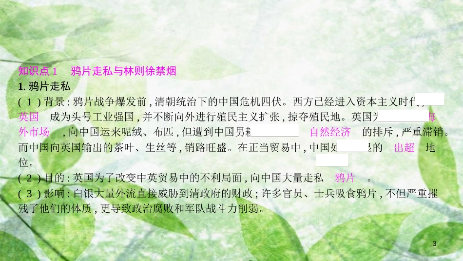 八年级历史上册 第一单元 中国开始沦为半殖民地半封建社会 第1课 鸦片战争优质课件 新人教版[共19页]_第3页