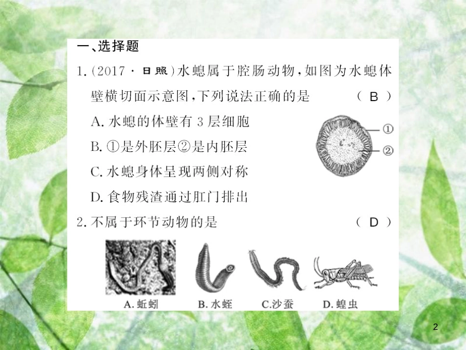 八年级生物上册 第六单元 生物的多样性及其保护读图识图题习题优质课件 （新版）新人教版_第2页