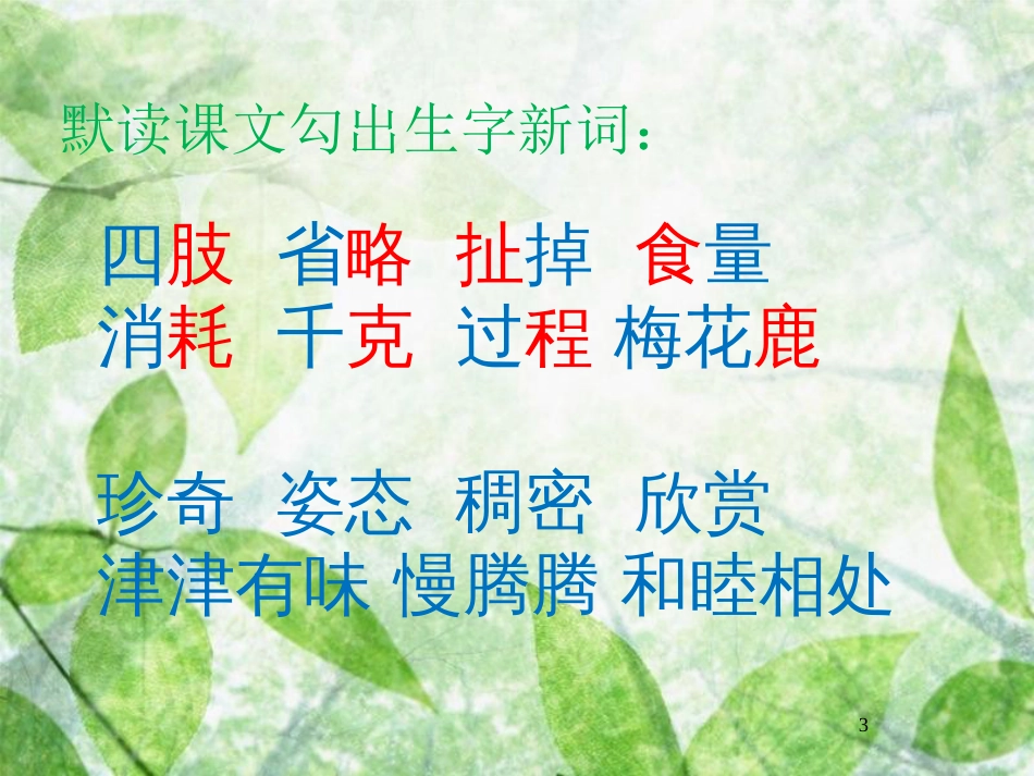 三年级语文上册 第三单元 可爱的大熊猫课件5 西师大版_第3页