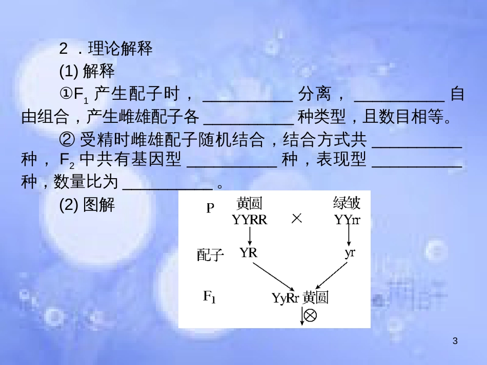 高考生物一轮复习 第一单元 遗传因子的发现 第2讲 孟德尔的豌豆杂交实验（二）课件 新人教版必修2_第3页