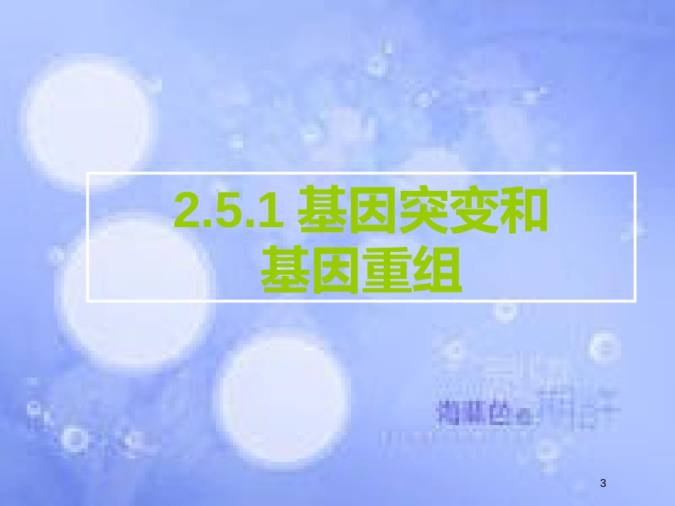 福建省寿宁县高中生物 第五章 基因突变及其他变异 5.1 基因突变和基因重组课件 新人教版必修2_第3页