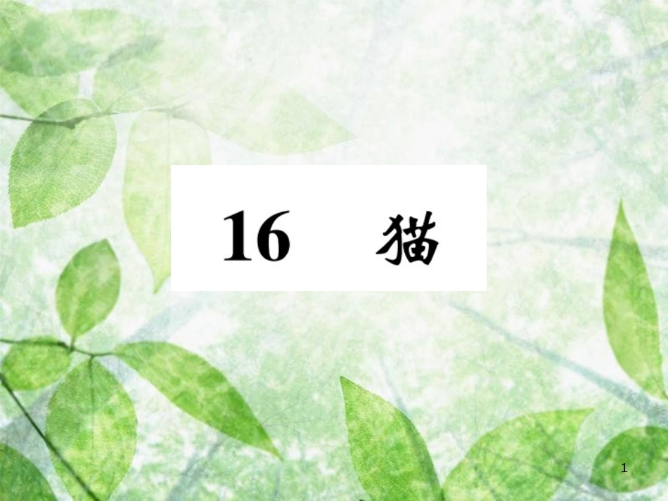 七年级语文上册 16 猫优质课件 新人教版_第1页