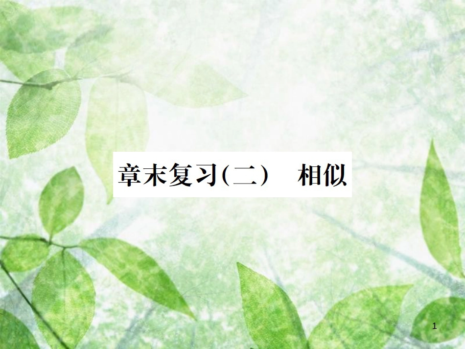 九年级数学下册 第二十七章 相似章末复习（二）习题优质课件 （新版）新人教版_第1页