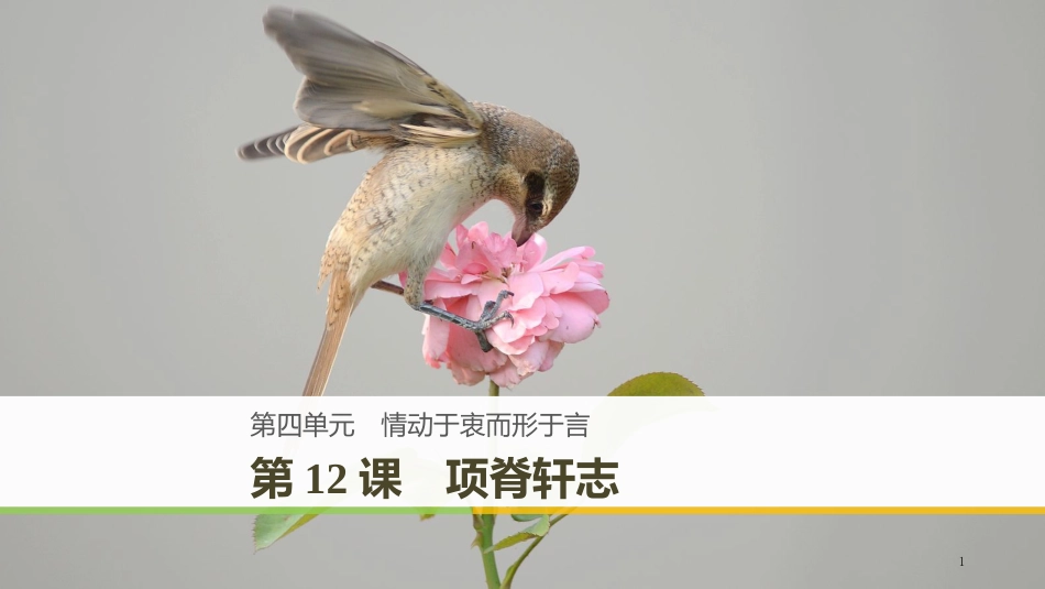 （豫宁）高中语文 第四单元 情动于衷而形于言 第12课 项脊轩志优质课件 语文版必修1_第1页