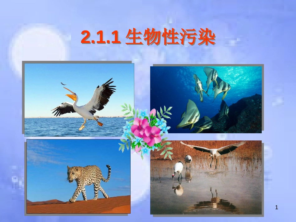 高中生物 第二单元 生物科学与环境保护 第一章 生物污染与生物净化 2.1.1 生物性污染（1）课件 中图版选修2_第1页