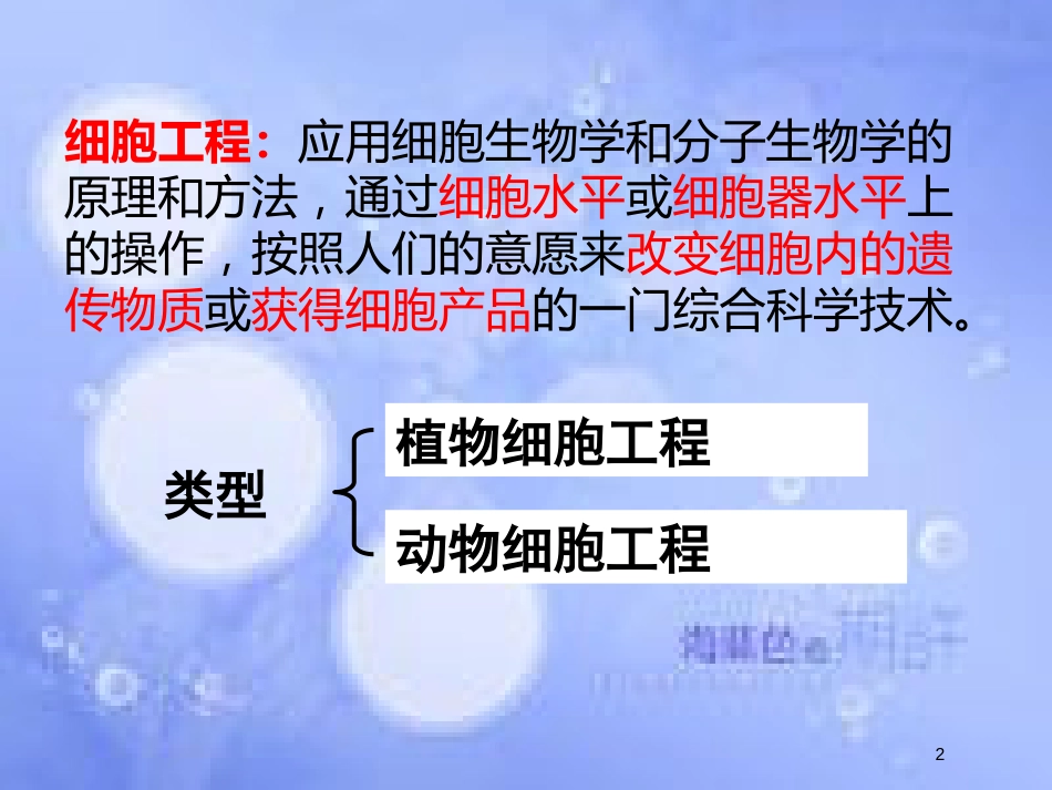 福建省寿宁县高中生物 细胞工程 2.1 植物细胞工程课件 新人教版选修3_第2页