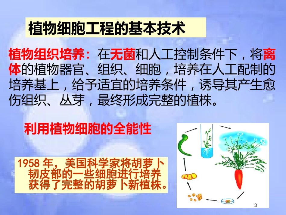 福建省寿宁县高中生物 细胞工程 2.1 植物细胞工程课件 新人教版选修3_第3页