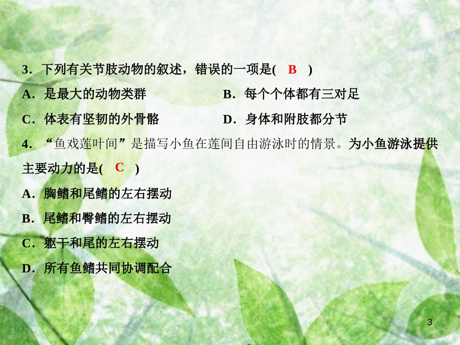 八年级生物上册 第5单元 第一章 动物的主要类群双休自测习题优质课件 （新版）新人教版_第3页