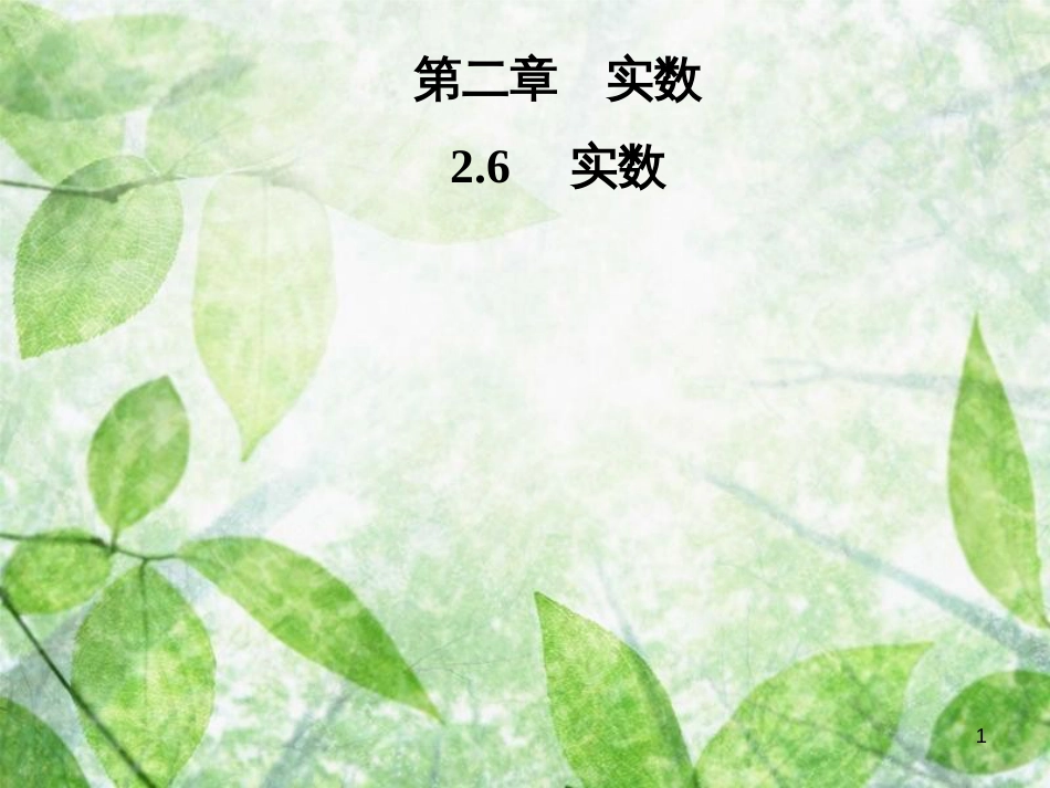 八年级数学上册 第二章 实数 2.6 实数导学优质课件 （新版）北师大版_第1页