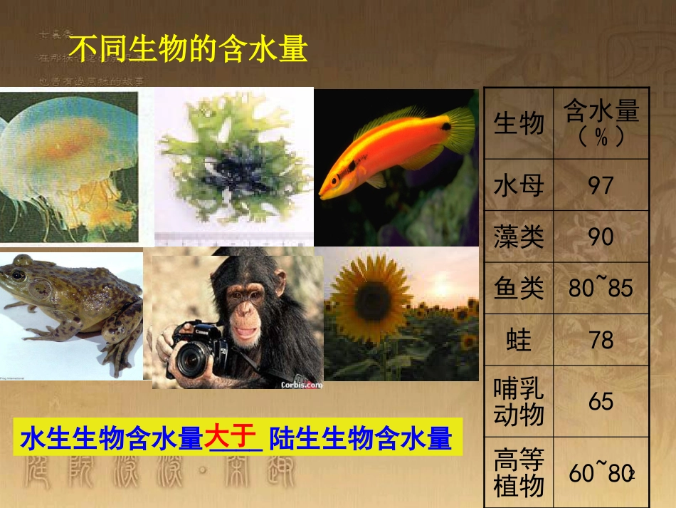 高中生物 专题2.5 细胞中的无机物优质课件 新人教版必修1_第2页