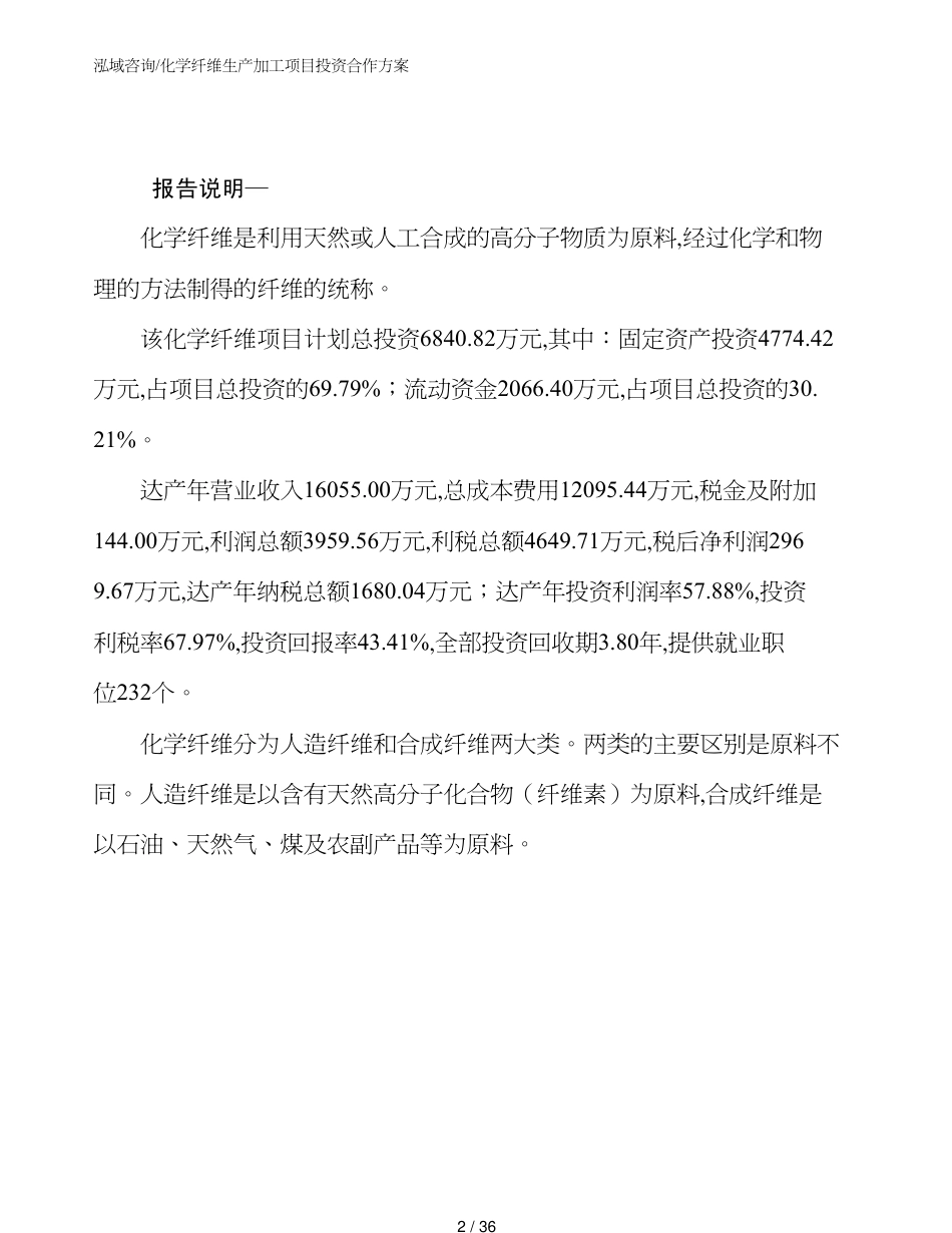 化学纤维生产加工项目投资合作方案_第2页