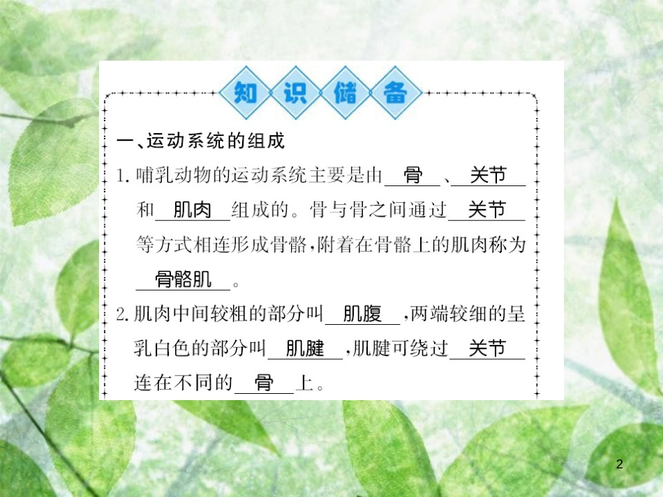 八年级生物上册 第五单元 第2章 第1节 动物的运动习题优质课件 （新版）新人教版_第2页