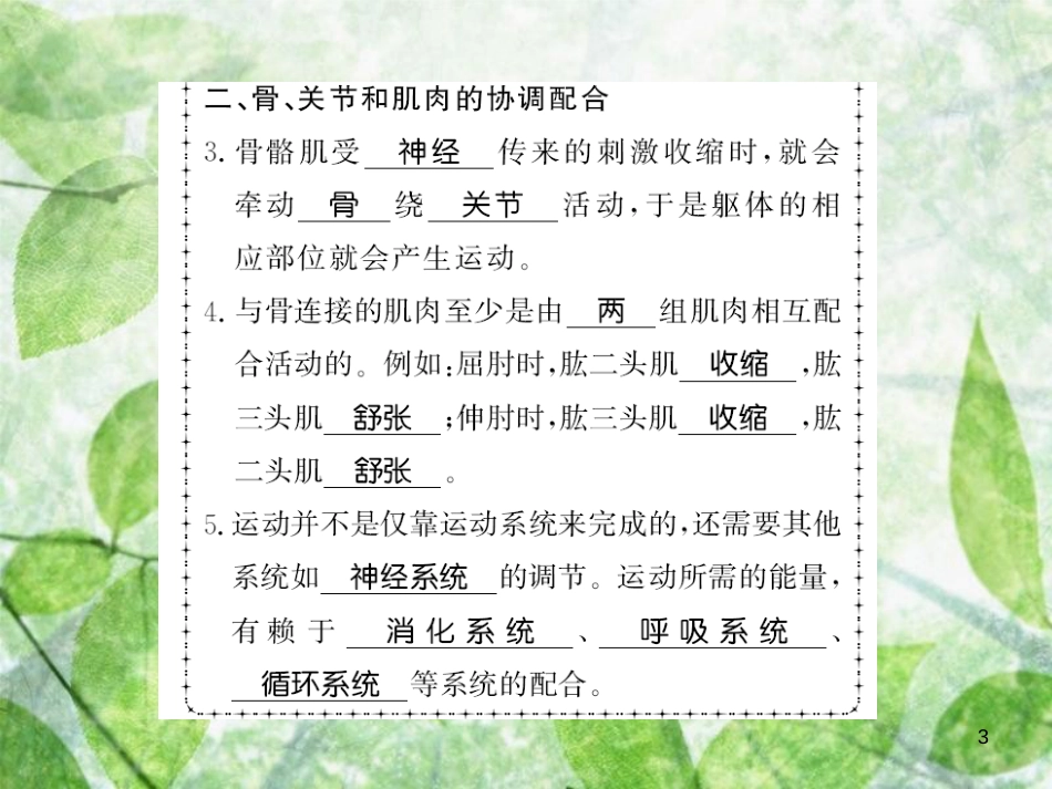八年级生物上册 第五单元 第2章 第1节 动物的运动习题优质课件 （新版）新人教版_第3页