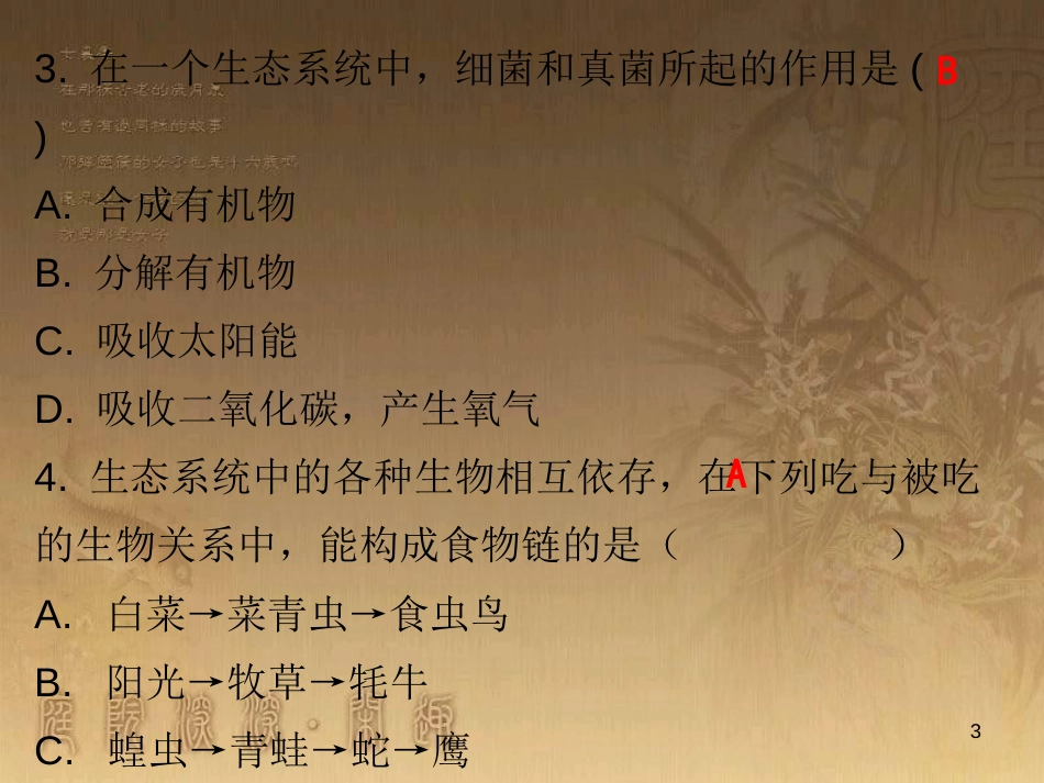 七年级生物上册 第一单元 第二章 第二节 生物和环境组成生态系统课堂十分钟优质课件 （新版）新人教版_第3页
