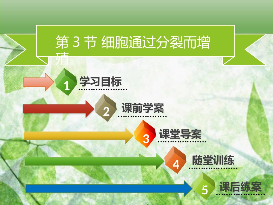七年级生物上册 第二单元 第3章 第3节 细胞通过分裂而增殖习题优质课件 （新版）北师大版_第2页