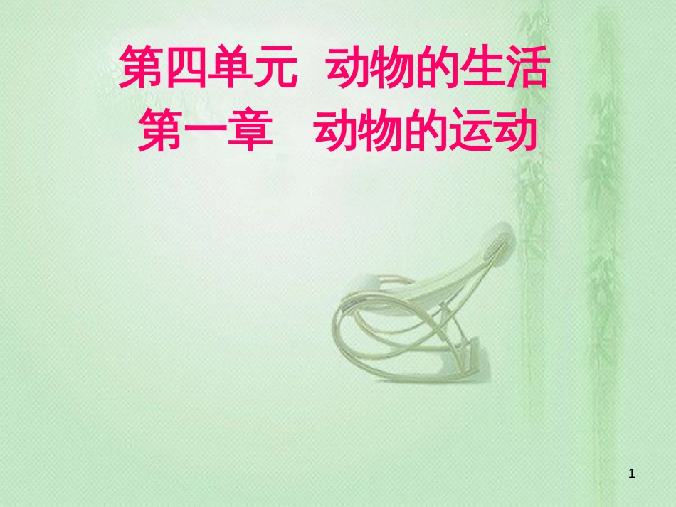 八年级生物上册 第四单元第一章 第一节 运动的基础优质课件 （新版）冀教版_第1页