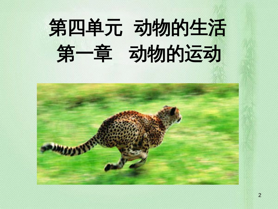八年级生物上册 第四单元第一章 第一节 运动的基础优质课件 （新版）冀教版_第2页