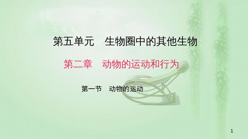 八年级生物上册 第五单元 第二章 第一节 动物的运动优质课件 （新版）新人教版_第1页