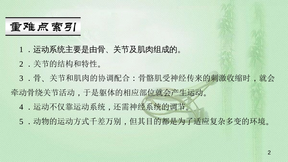 八年级生物上册 第五单元 第二章 第一节 动物的运动优质课件 （新版）新人教版_第2页