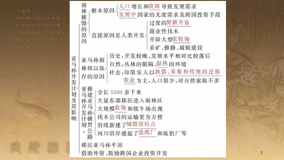 高中地理 第二章 区域生态环境建设 2.2 亚马孙开发计划及其影响 雨林的前途——开发还是保护（第2课时）优质课件 新人教版必修3_第3页