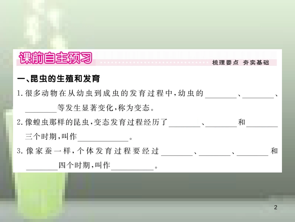 八年级生物上册 6.19.2 动物的生殖和发育（第1课时 昆虫、两栖类动物的生殖和发育）优质课件 （新版）北师大版_第2页