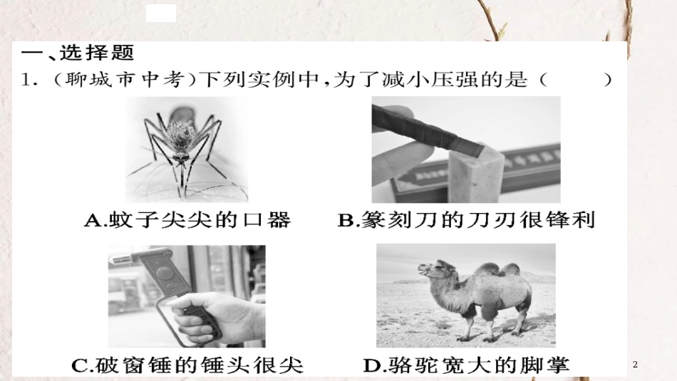 八年级物理下册 9 压强优生培养计划三习题课件 （新版）新人教版[共23页][共23页]_第2页