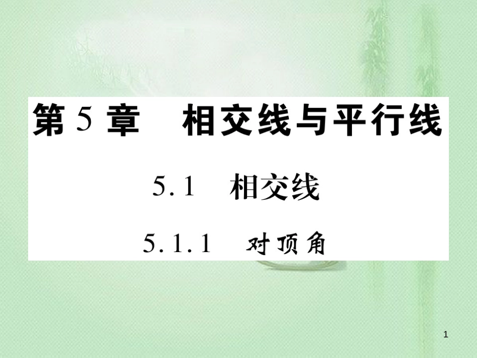 ekoAAA七年级数学上册 第5章 相交线与平行线 5.1.1 对顶角优质课件 （新版）华东师大版_第1页