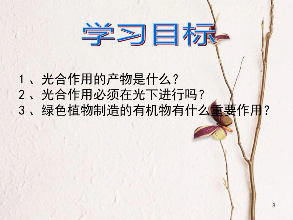 七年级生物上册 第三单元 第四章 绿色植物是生物圈中有机物的制造者课件 （新版）新人教版[共21页]_第3页