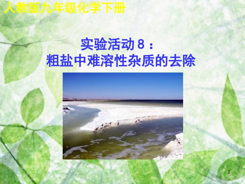 九年级化学下册 第十一单元 盐 化肥 实验活动8 粗盐中难溶性杂质的去除教学优质课件 （新版）新人教版_第1页