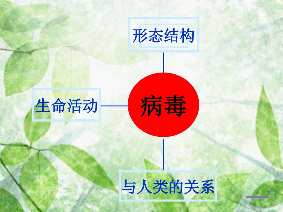 七年级生物上册 2.3.1 病毒优质课件 （新版）济南版_第2页