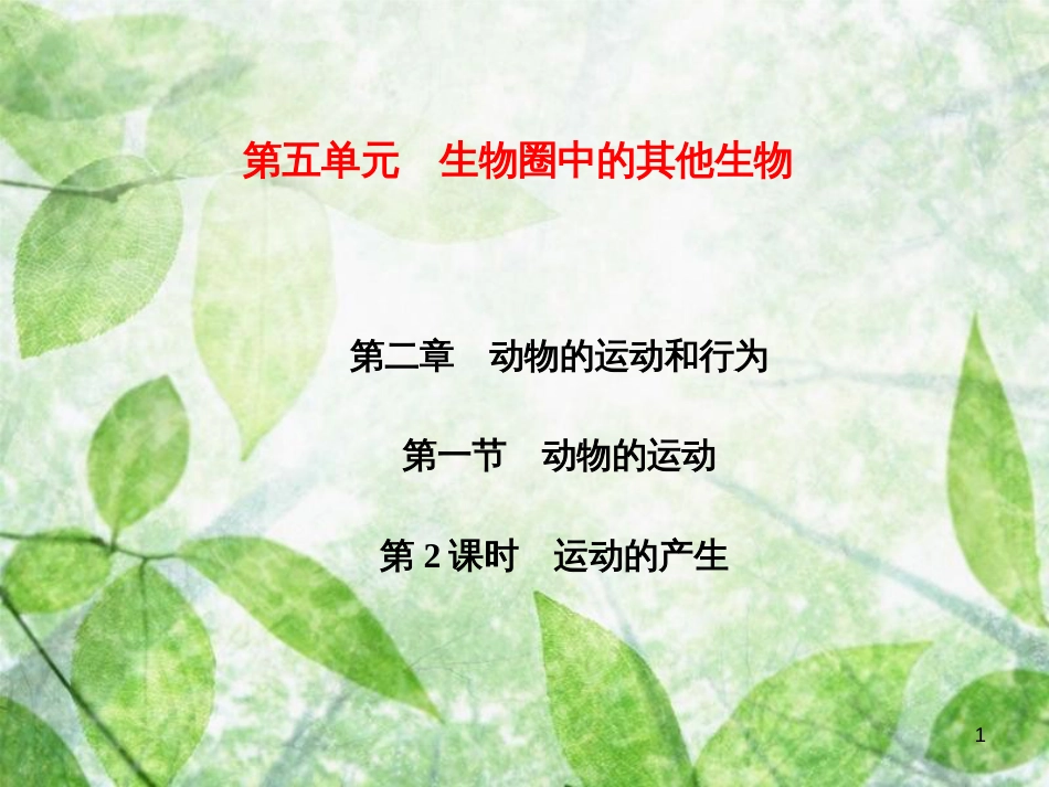 八年级生物上册 第5单元 第2章 第1节 动物的运动（第2课时 运动的产生）习题优质课件 （新版）新人教版_第1页