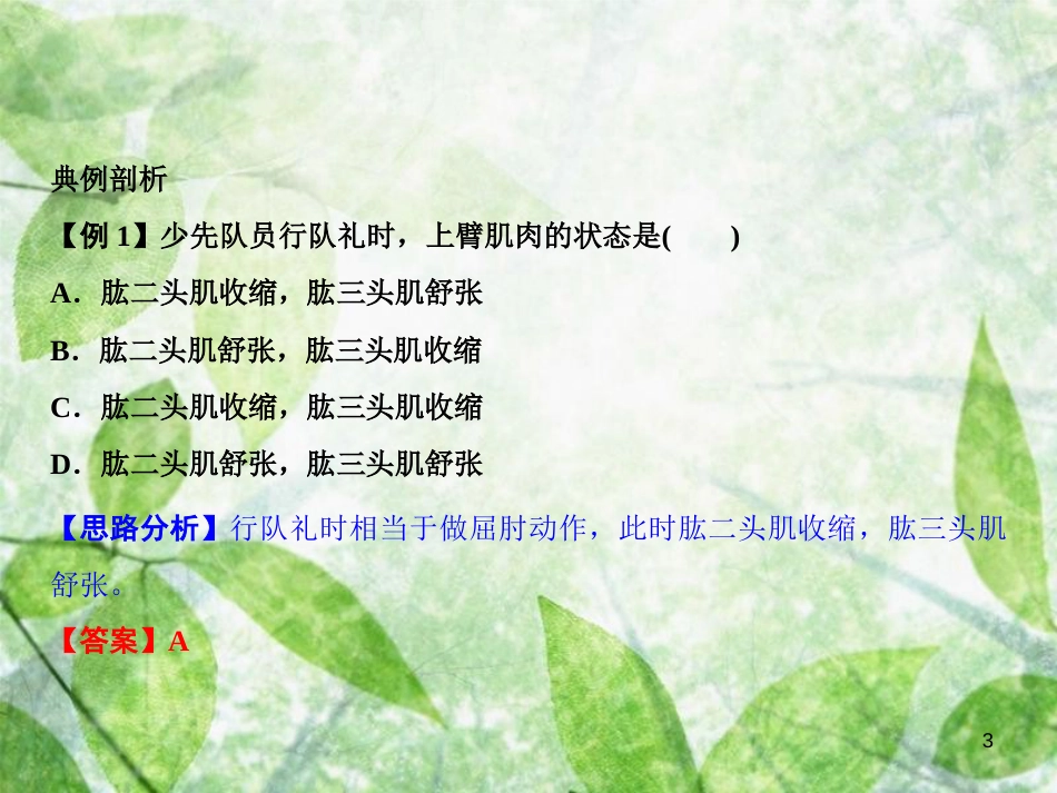 八年级生物上册 第5单元 第2章 第1节 动物的运动（第2课时 运动的产生）习题优质课件 （新版）新人教版_第3页