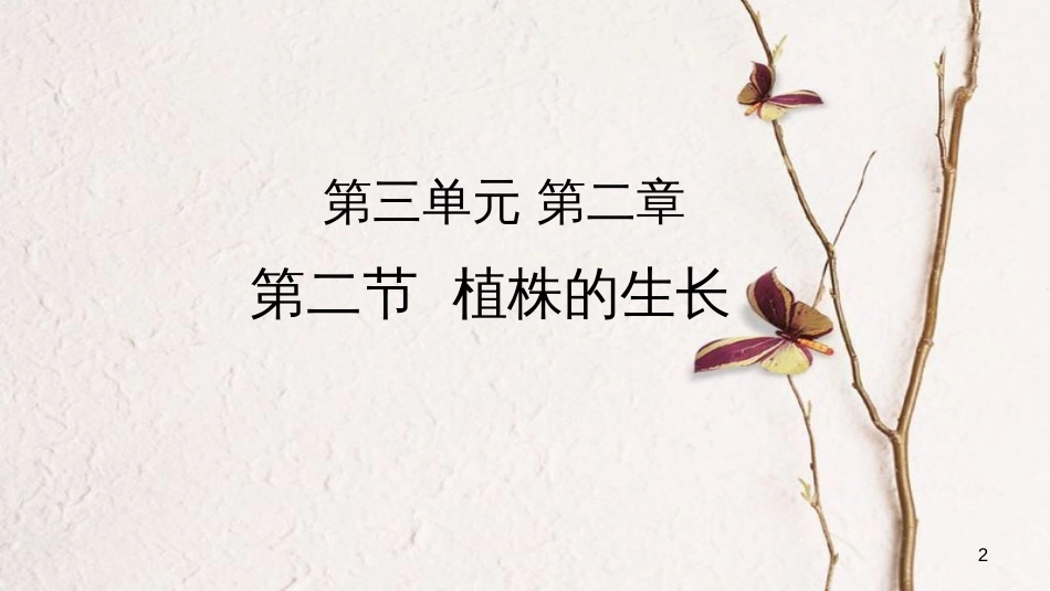 七年级生物上册 第三单元 第二章 第二节《植株的生长》课件 （新版）新人教版[共27页]_第2页