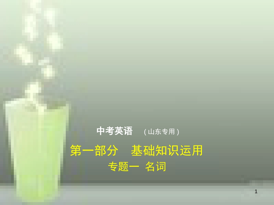 （山东专用）2019年中考英语复习 专题一 名词（试卷部分）（含18年中考真题精解精析）优质课件_第1页