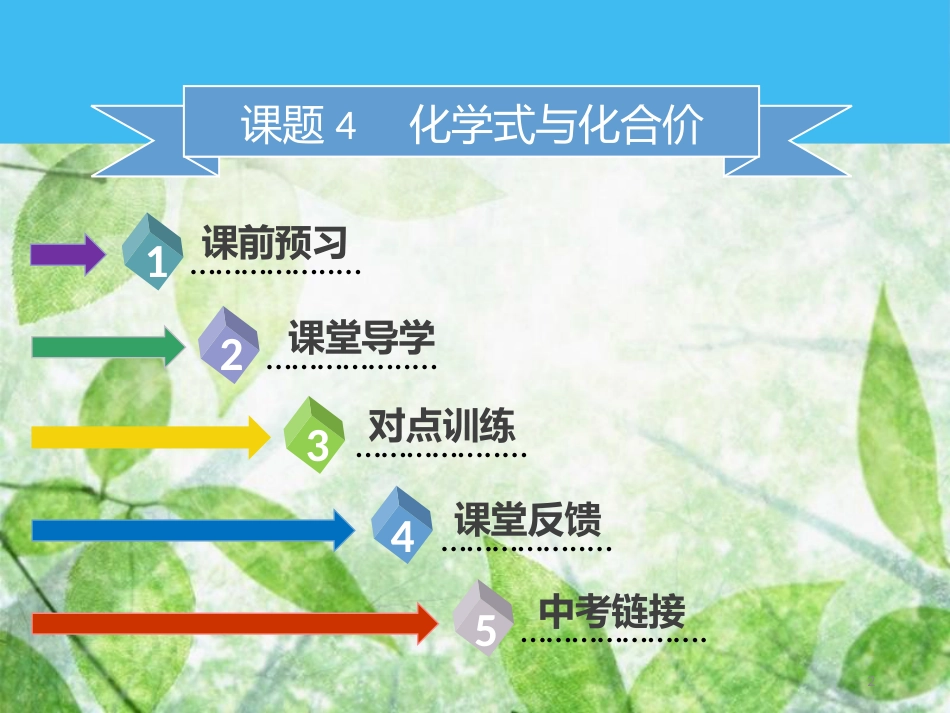 九年级化学上册 第四单元 自然界的水 课题4 化学式与化合价 第3课时 有关相对分子质量的计算优质课件 （新版）新人教版_第2页