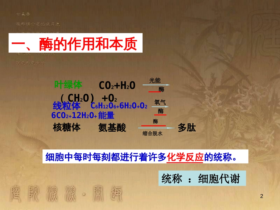 高中生物 专题5.1 降低化学反应活化能的酶优质课件 新人教版必修1_第2页